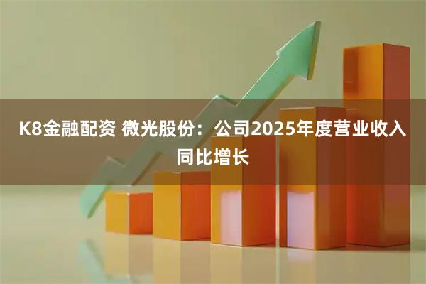 K8金融配资 微光股份：公司2025年度营业收入同比增长