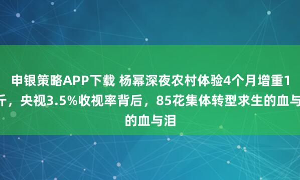申银策略APP下载 杨幂深夜农村体验4个月增重10斤，央视3.5%收视率背后，85花集体转型求生的血与泪